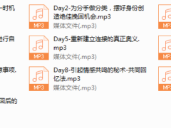 12-Chic零败绩恋爱起死回春术。