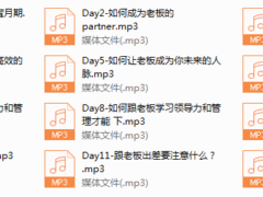 13-Chic升级思维的向上管理必修课。