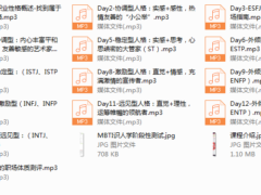 15-Chic快狠准的职场性格分析。