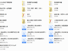 2016年無念团队《魅力方程式4.0》