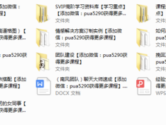 2016高阶南风PUA团队1680全套