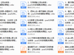 2017年《吴克群私教视频课》