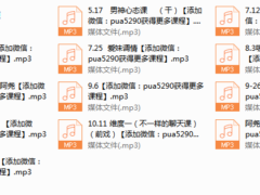 2017年《迷宫导师私教》