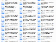 2017年浪迹《团长私教》