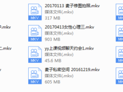 2017年麦子私教（新版）