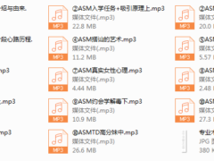 2018年《ASM恋爱学1.0》
