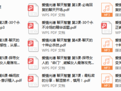 2018年爱情光谱《智慧聊天》