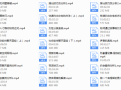2018年陈大力《现场游戏大师1.0》