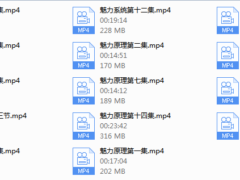 2020Chris魅力原理『已更新完』