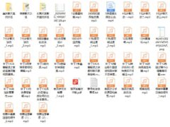 2023校长高情商VIP