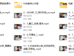 2024《lin一对一私教》