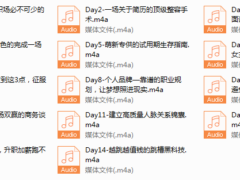 8-Chic颠覆认知的职场快速进化论。