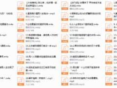 8.绛妖精《女神脱单实用攻略》