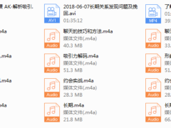 AK私教录音