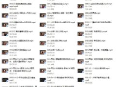 CAC 4.0（无水印）