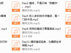 Chic情话绵绵掌