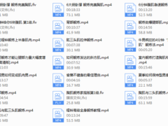 《男士在家健身教程》视频