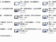 【完结】亚洲魔发天王Akin：超实用头发自救术