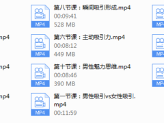 【瑞恩自然吸引】10节高级课
