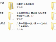 【经典课程】坏男孩女导师课程合集