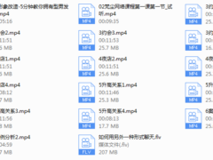 【经典课程】梵尘视频课