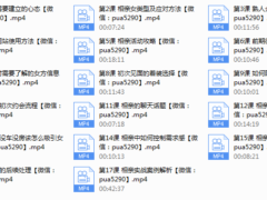 【魅力工程】相亲课程