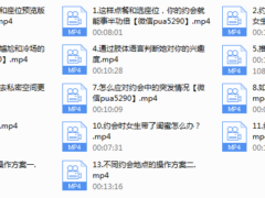 【魅力工程】高分攻略