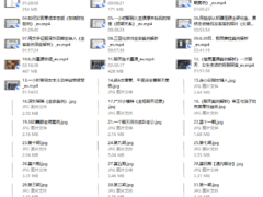 【魅男直播聊天记录》深度解析