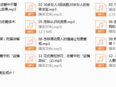一个人听的恋爱技巧