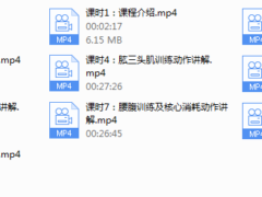 一介粗人【哑铃全面训练】约40个动作各肌群难度降级变式做法讲解（完结）