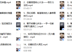 七分学堂《恋爱核武器4.0—一飞冲天》
