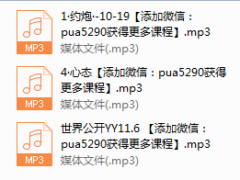 世界精品私教音频