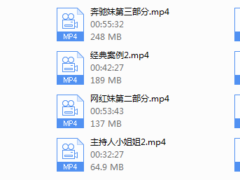 乌鸦救赎-六神 实战报告