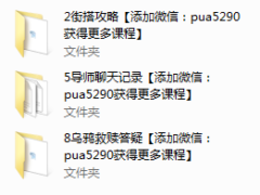 乌鸦救赎第二阶段