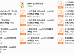 优雅本垒打1.0