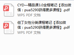但丁-内部文档资料