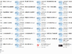 但丁law的那些年