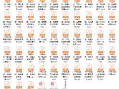 但丁law的那些年【完结】