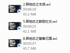 倪.异地恋模型