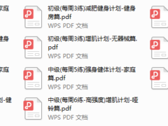 健身计划