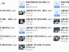 加藤非经典合集