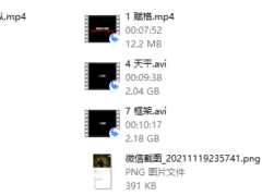 四横四纵