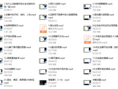 大橙《脱单必修1.0》