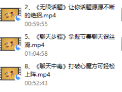 大鹏《聊天高手》