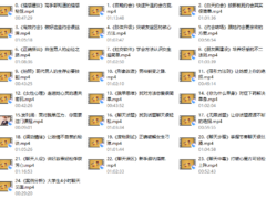 大鹏高端私教课