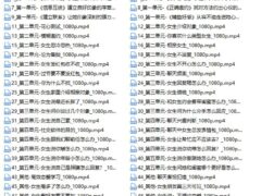 大鹏高级聊天会员_大鹏