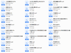天使狙击队《内部1.0+2.0》