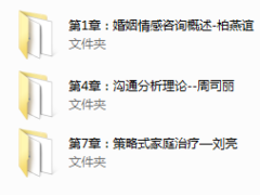 婚姻情感&家庭咨询技能大全