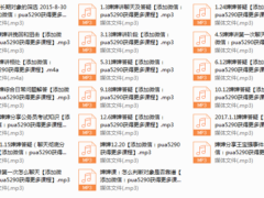 婶婶录音及答疑