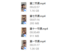 宋奇hong老师 心猿意马沟通课十一节【拴马桩】